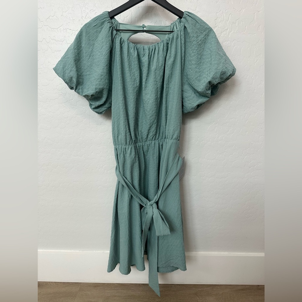 Lush Dress with Puff Sleeve